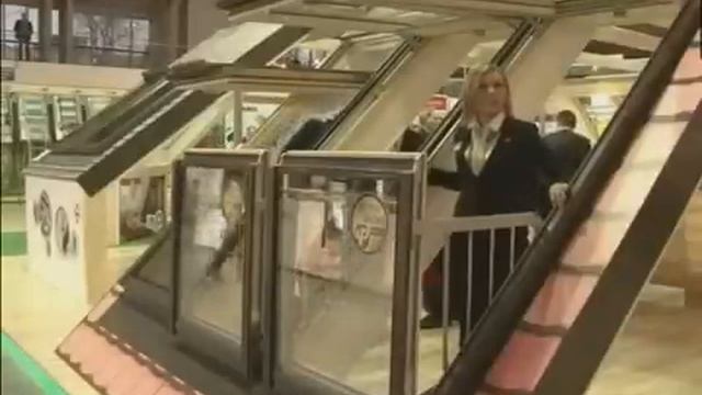 окно-балкон FAKRO FGH-V P2 смотреть онлайн