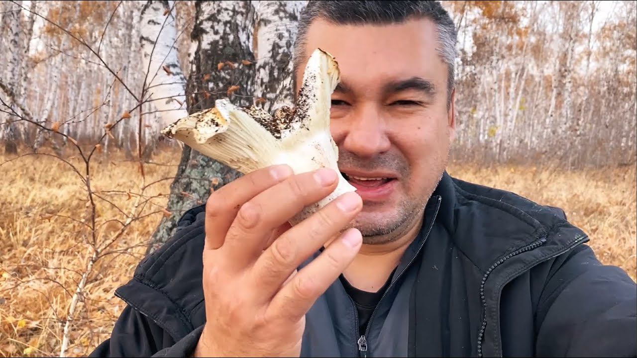 100 груздей - Грибы последняя серия смотреть онлайн