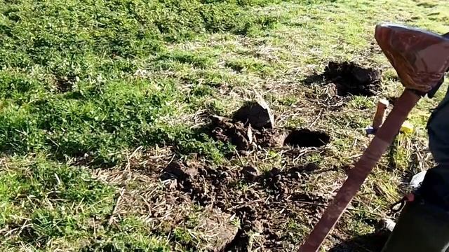 Detech Penetrator E 18