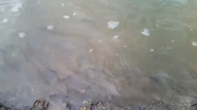 Маленькая рыбка иртыша.Павлодар смотреть онлайн