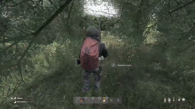DayZ смотреть онлайн