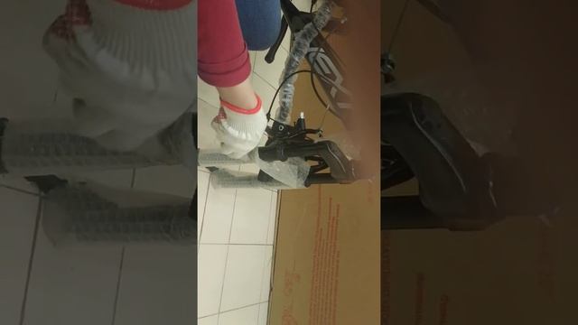 АШАН байк, рождение.