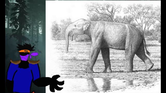 The History of Elephants Ep3: Plesielephants a Plenty смотреть онлайн