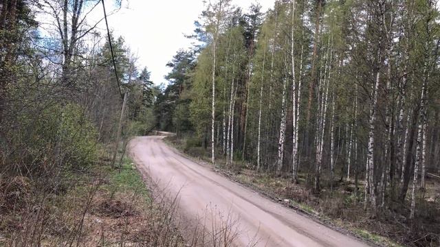 Ралли Пикник 2022 смотреть онлайн