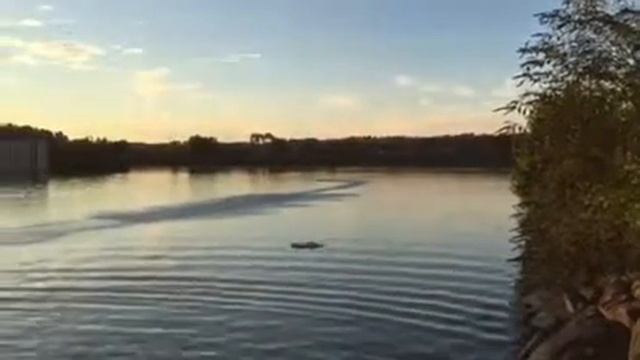 Zelos 36 PROBOAT fast RUN ON 6S смотреть онлайн