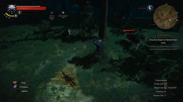 The Witcher 3 Wild Hunt Прохождение Хозяйки леса #17 смотреть онлайн