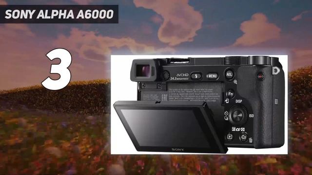 Top 5 Budget Camera - Best in 2023 смотреть онлайн