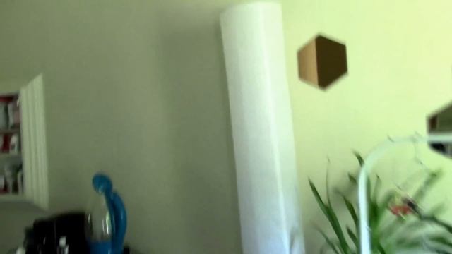 How to water mounted orchids смотреть онлайн