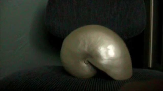 Assignment 5.1-Filters смотреть онлайн