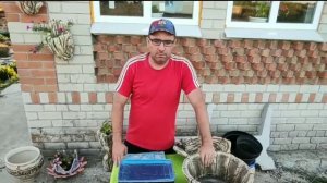 Без секретов о производстве, себестоимости и реализации садового декора из цемента.