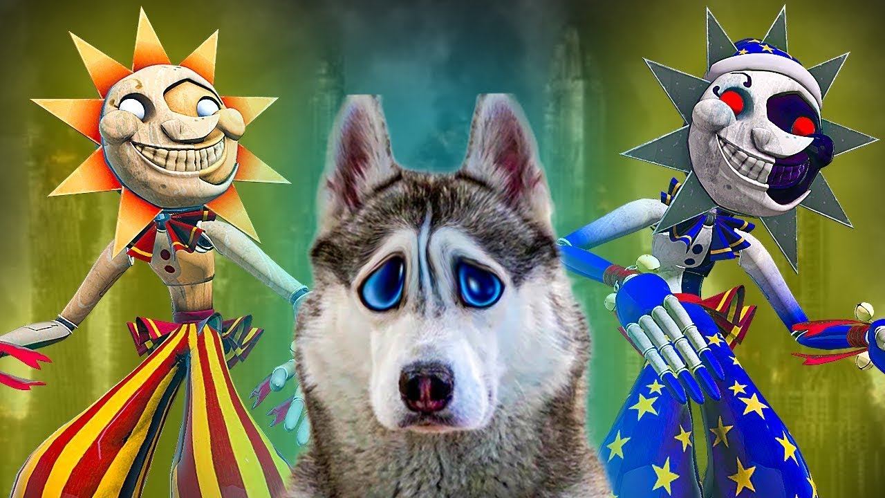 Все серии ФНАФ против ХАСКИ БАНДИТА!! (Хаски Бандит) Говорящая собака смотреть онлайн