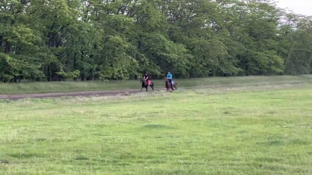 Иноходцы. Маховые работы. смотреть онлайн