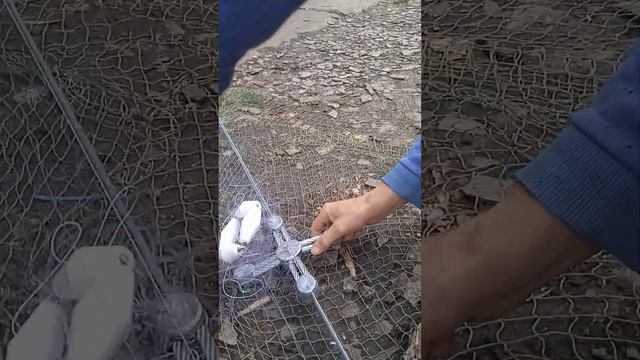 хапуга#как подготрвить хапугу к рыбалке#рыбалка хапугой#