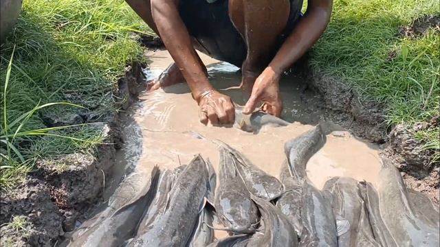 OMG! A fisherman catches a fish in a meadow near the lake смотреть онлайн