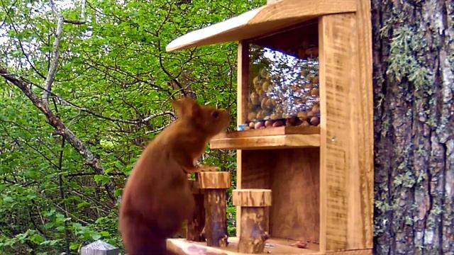 Bar à noisettes Natura Tazenat смотреть онлайн