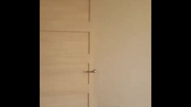 Аренда квартиры в Санкт-Петербурге 8 904 609 2429