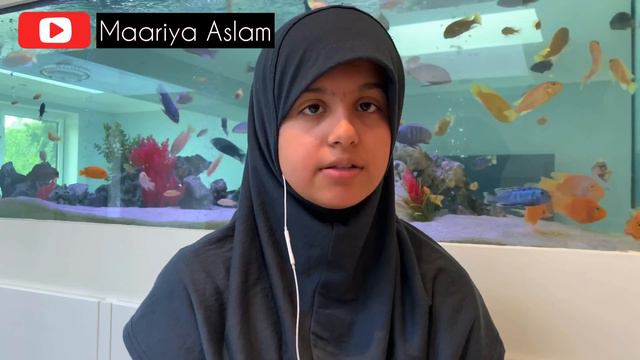 Daily Quran Quote #77. Hafiza Maariya Aslam recites and translates from Surah Nuh. смотреть онлайн