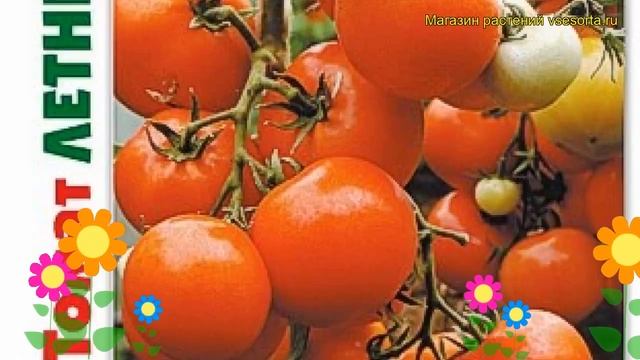 Томат Летний сад F1. Краткий обзор, описание характеристик solanum lycopersicum Letneyj sad F1 смотреть онлайн