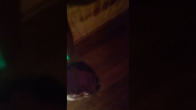 Sauna for 20 minutes смотреть онлайн