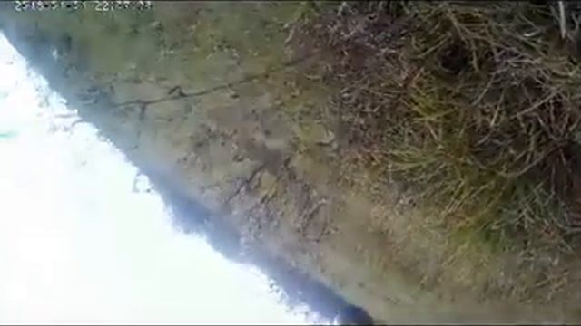 охота на утка первая съемка смотреть онлайн