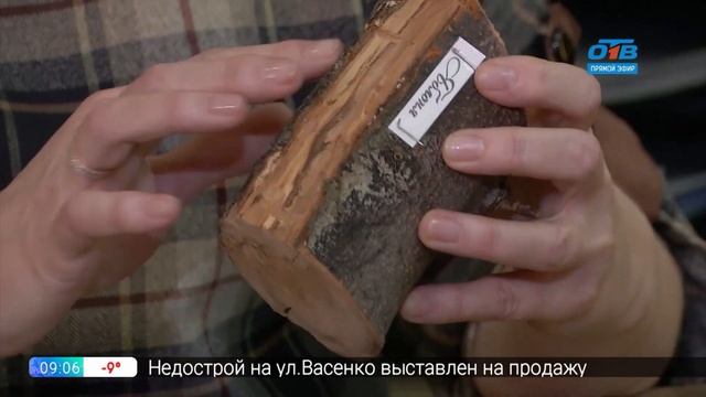 Руки садовода – обследуем деревья зимой смотреть онлайн