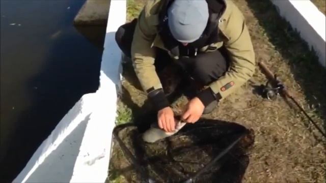 Белые Камни 2 , Ловля Форели на sv fishing смотреть онлайн