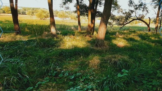 Доверие жизни | понимание #осознанность смотреть онлайн