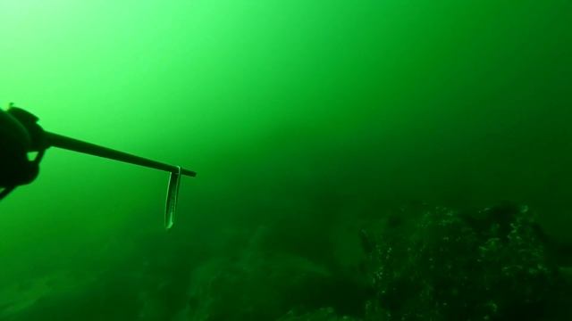 Подводная охота на темного окуня, о Рейнеке. Владивосток смотреть онлайн