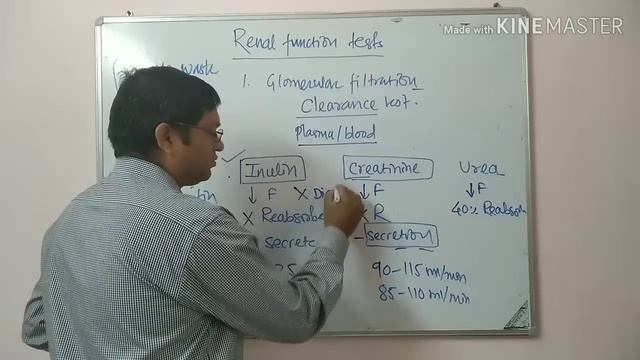 Kidney Function Tests смотреть онлайн