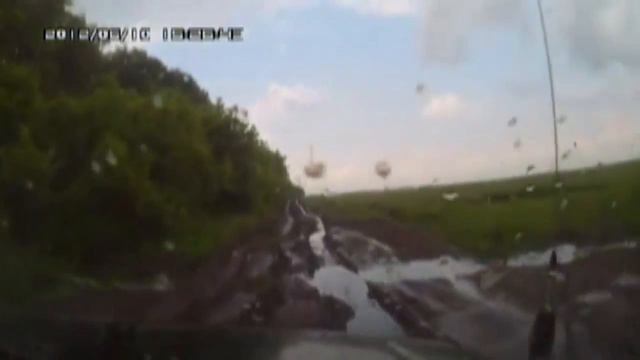 В поисках пруда. смотреть онлайн