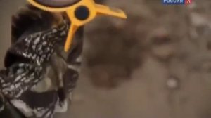 Тайны Третьего Рейха. База немецких субмарин в Сибири.