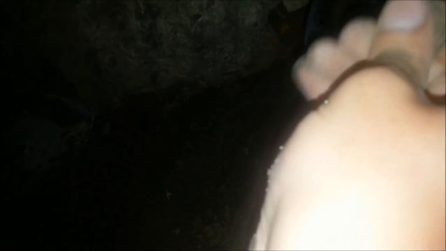 Клад в погребе заброшенного дома. смотреть онлайн