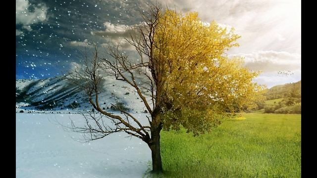 Г Шакиров Не просил я у зимы стихи друзей читает Павел Беседин смотреть онлайн