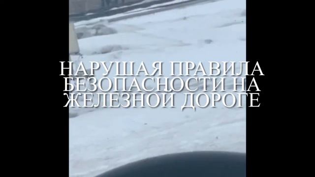Транспортные полицейски Челябинска напоминают о правилах поведения на железной дороге смотреть онлайн