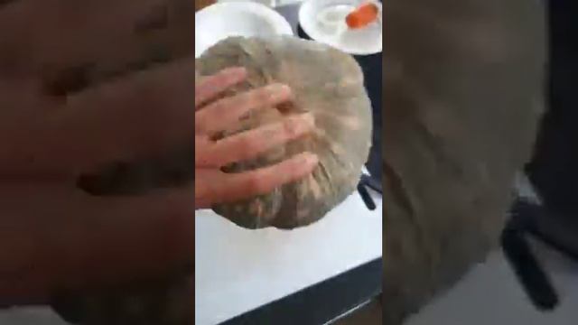 Тыквенный суп. Часть 1 смотреть онлайн