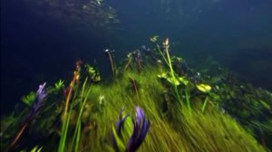 До сих пор стою я у той черты... Алла Пугачёва  - "Ты не стал судьбой"