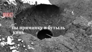 Как поймать крота самый эффективный метод but how to catch a mole