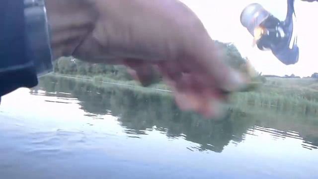 Вечерний Голавль, раздача на чалась по расписанию смотреть онлайн