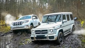 ГЕЛИК против ПРАДО! НА СПОР ЧЕРЕЗ ЛЕС по БЕЗДОРОЖЬЮ