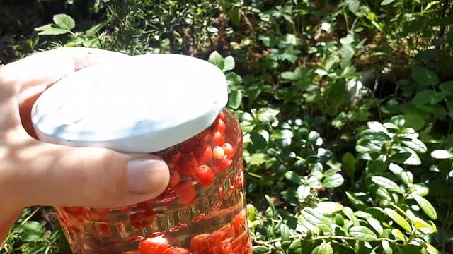 Заготовки из брусники. Брусничная вода - польза для вас и ваших детей!