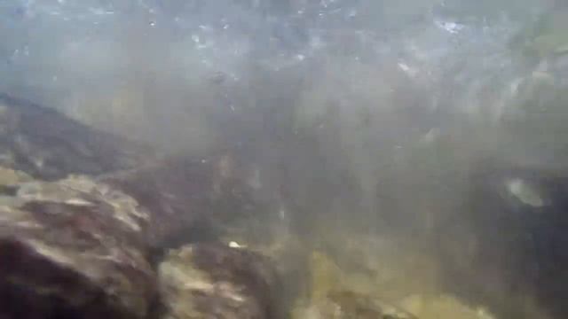 Как ловить рыбу в водопаде. Сами мы не местные смотреть онлайн