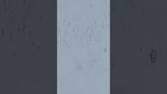 Бешеный трактор смотреть онлайн