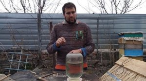Как приучить пчел к поилке на пасеке. Почему пчелы не пьют воду с поилок