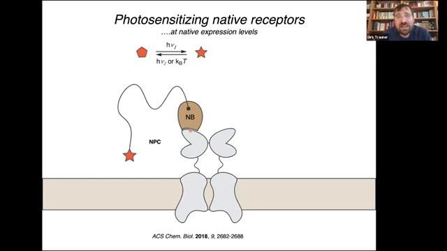 Controlling the Machinery of Life with Synthetic Photoswitches | Dirk Trauner, NYU смотреть онлайн