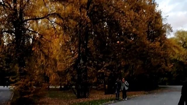 Дневник студента - химика? | пытаюсь понять физику, мастер-класс, одинокие обеды | Vlog