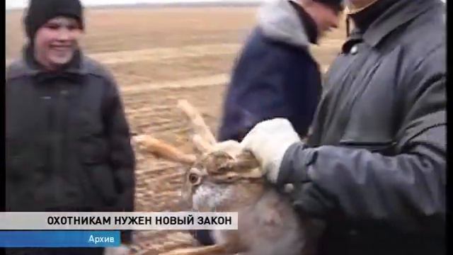 Достижения охотхозяйств смотреть онлайн