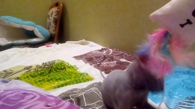 Украинский левкой Севастополь Крым Россия смотреть онлайн