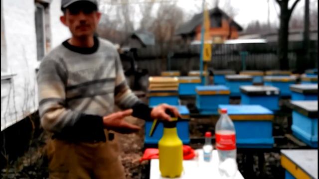 Замена и дезинфекция дна улья после зимовки. смотреть онлайн