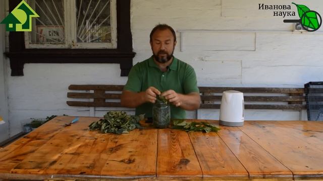 Подкормите так ПЕРЦЫ, ТОМАТЫ и ОГУРЦЫ и УРОЖАЙ БЕШЕНЫЙ! Готовим СУРИЦУ - ГЛАВНЫЙ СЕКРЕТ УРОЖАЯ! смотреть онлайн