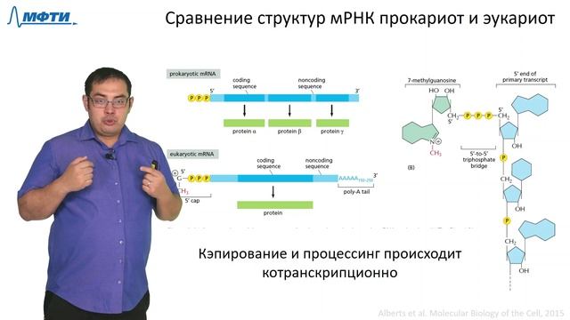 Лекция 3.1. РНК и транскрипция. Трофимов В.В., МФТИ (2021) смотреть онлайн